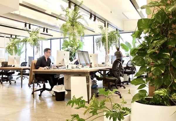 Modern Office Interiors With Green Plants